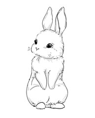 Hand Drawn Cute Bunny vector, print design rabbit, children print on t-shirt.