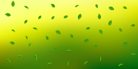 Falling green leaves. Fresh tea random leaves flyi