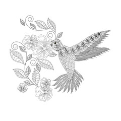 Hummingbird flower doodle monochrome coloring page art design stock vector illustration for web, for print