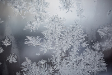 Frosty window