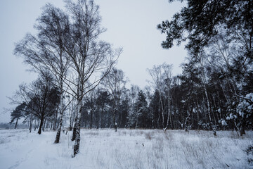 Vennlandschaft