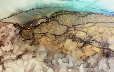 Art Abstract brown, blue  and gold glitter color horizontal background. Marble texture. Alcohol ink colors.