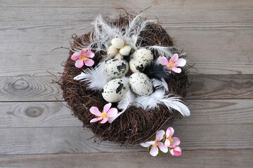 Easter, eggs in nest on a wooden background. Top view with copy space