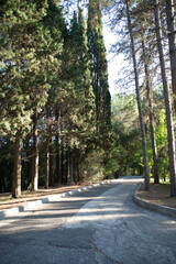 Russia Sochi city arboretum views