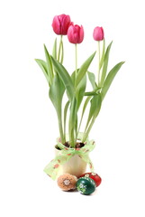 Fresh tulips and easter eggs, isolated on white background.