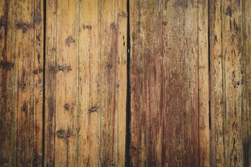 texture of bark wood use as natural background.Brown wood texture. Abstract background, empty template.	
