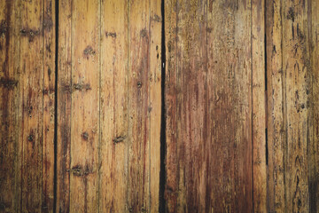 Obraz premium texture of bark wood use as natural background.Brown wood texture. Abstract background, empty template. 