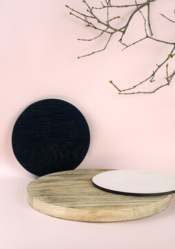 Background with geometric shape podiums and branches. Wooden round pedestal for eco product. Empty showcase in minimal style. Abstract pastel mock up for cosmetic.