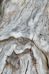 Silky driftwood texture