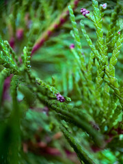 South England Countryside & Landscapes & Natural Views. Florida Keys Landscapes.