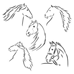 Black and white sketch of horse. horse, vector sketch illustration