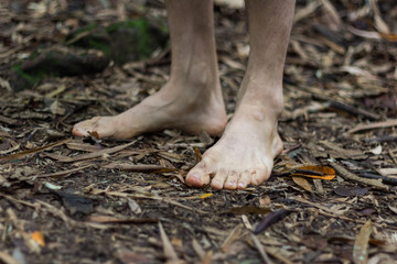 walking in the woods