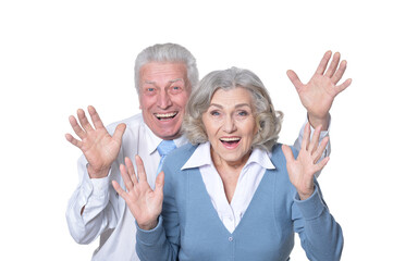 Portrait of happy  senior couple