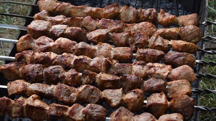 Barbecue grilled meat pieces on skewers at charcoal grill. Picnic food cooking outdoor. Roasted pork meat traditional local food on rotisserie with spits