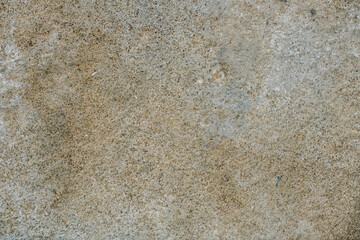 wall texture