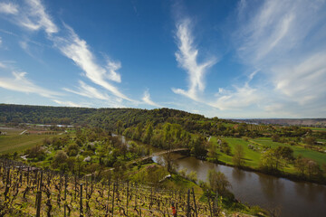 Fototapeta na wymiar Vineyard overlooking the river Neckar, Landscape of Hessigheim, Germany