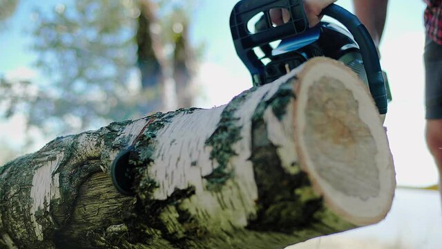 Logger, lumberjack saws off part of a birch from a trunk at a sawmill in the forest. Favorite work at summer sunny day in the forest. Close-up high quality 4k footage