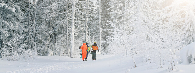 Panorama of the winter snow-covered forest. Group of snowboarders goes along the path up the hill. Extreme sports. Holidays in the mountains. Banner format shot