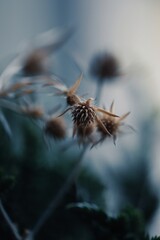 Processed with VSCO with u3 preset