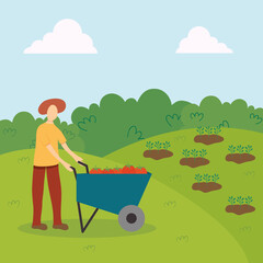 farmer with wheelbarrow with tomatoes over crops background
