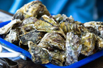 Roasted oysters in Penghu, Taiwan.