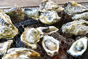 Roasted oysters in Penghu, Taiwan.