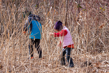 Kinder erkunden und beobachten die Natur