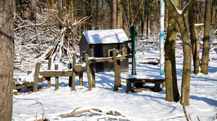 christmas tree in the snow