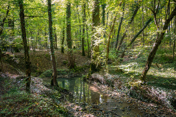 le Gobé ruisseau à Chambésy