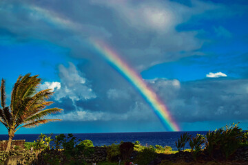 Hawaiian Rainbow over Palm Tree and Ocean