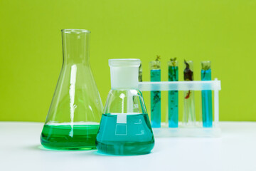 Test tubes and other laboratory glassware with different plants on green background