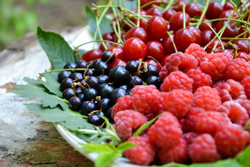 Berries organic harvest. Raspberry, black currant and cherry. Organic berries from village garden for jam, smoothie or desserts. Grunge wooden background.