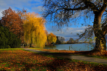 Beautiful autumn landscape with colorful trees around the pond and bench in a city park