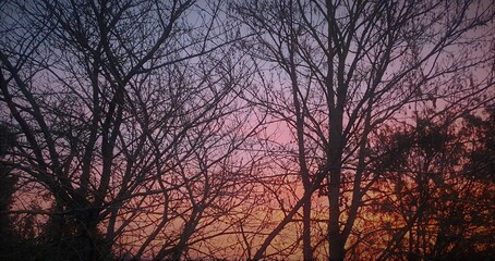 photo d'un ciel d'hiver au soleil couchant