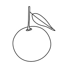 orange fruit icon, line style
