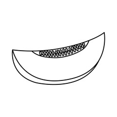 cantaloupe slice icon, line style