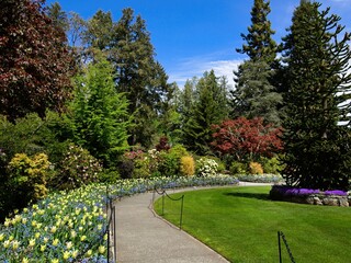 Garden walkway in the spring