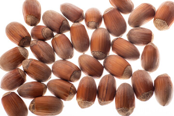 hazelnuts hazelnuts lie on a white background