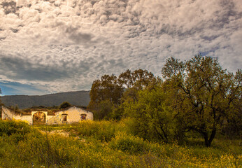 Fototapeta na wymiar Paisaje de una casa abandonada rodeada de arboles y flores amarillas y un cielo repleto de nubes.