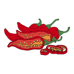 Chili Pepper. Hot mexican spices. Hand drawn sketch. Vector drawing isolated on white background.