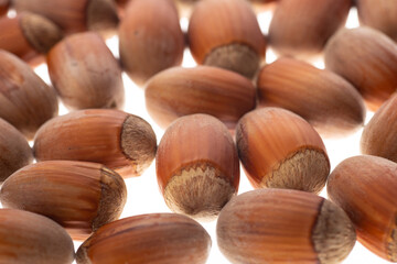 hazelnuts hazelnuts lie on a white background
