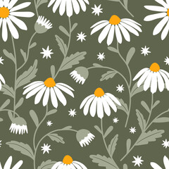 Fototapeta na wymiar Floral hand-drawn pattern with daisies. Design for textile, wallpaper, wrapping paper.