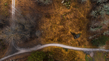 Beautiful road and grass, moss from above 