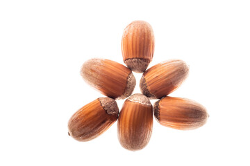 hazelnuts isolated on white background folded triangle