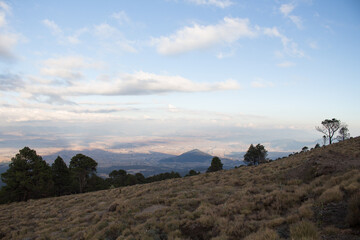 landscape mountains and trees