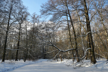 flußlandschaft