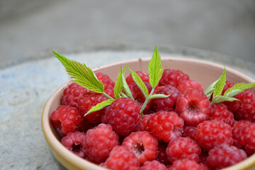 Raspberry background. Organic berries harvest. Fresh raspberries from village garden. Berry for desserts, cakes, smoothie or jam.