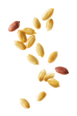 Peanuts Against White Background
