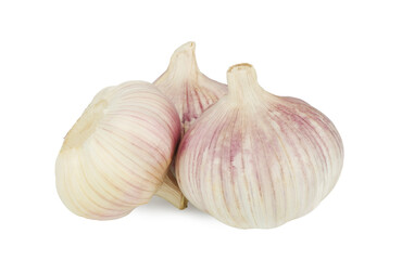 Garlic isolated on white background