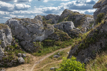 Fototapeta na wymiar Rocks in the Krakow-Czestochowa Jura in Poland
